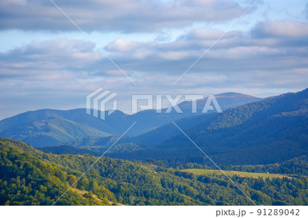 mountain landscape on a sunny afternoon. forested hills rolling down in to the valley in evening light. distant summit beneath a cloudy sky mountain landscape on a sunny afternoon. forested hills rolling down in to the valley in evening light. distant summit beneath a cloudy sky 91289042
