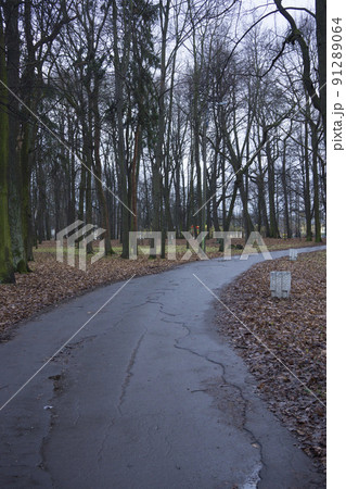 dreary autumn road into the Fog dreary autumn road into the Fog 91289064