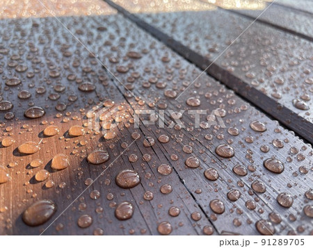 Many drops of water on a dark tree 91289705