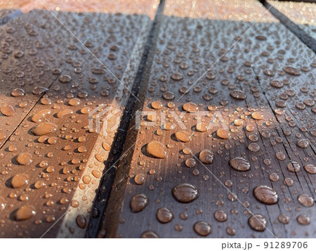 Many drops of water on a dark tree Many drops of water on a dark tree 91289706