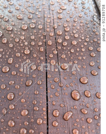 Many drops of water on a dark tree 91289708