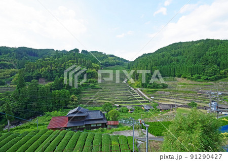 福岡県八女市星野村の日本棚田百選石積の棚田 91290427