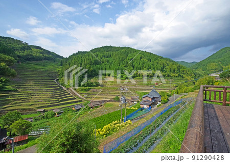 福岡県八女市星野村の日本棚田百選石積の棚田展望所 91290428