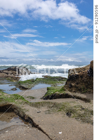 茨城県日立市　初崎海岸の岩場 91290596