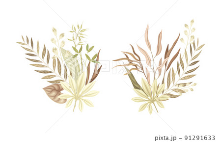 Dried bouquets of tropical leaves and plants set. Pastel watercolor botanical decor elements vector illustration Dried bouquets of tropical leaves and plants set. Pastel watercolor botanical decor elements vector illustration 91291633