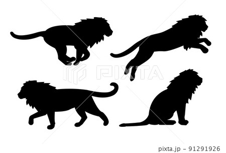 Vector set of flat lions silhouette isolated on white background 91291926