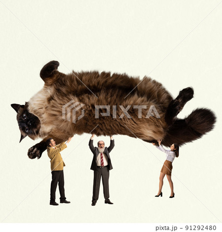 Contemporary art collage. Creative design. Employees, business people rising up giant cat symbolizing professional growth and success Contemporary art collage. Creative design. Employees, business people rising up giant cat symbolizing professional growth and success 91292480