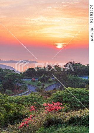 伊豆スカイライン道路から相模湾を望む（夜明け） 91293274