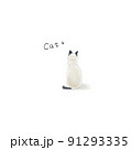 猫　後ろ向き 91293335