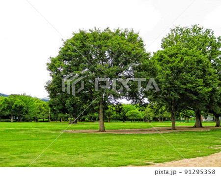 【熊本】熊本城の二の丸広場 【熊本】熊本城の二の丸広場 91295358