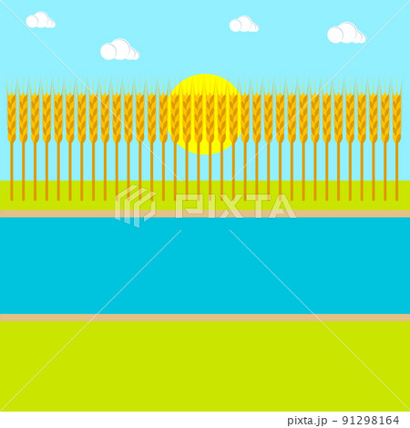 Wheat field background with river and sun. Summer landscape. Simple style. Vector illustration. Clipart and drawing. Wheat field background with river and sun. Summer landscape. Simple style. Vector illustration. Clipart and drawing. 91298164