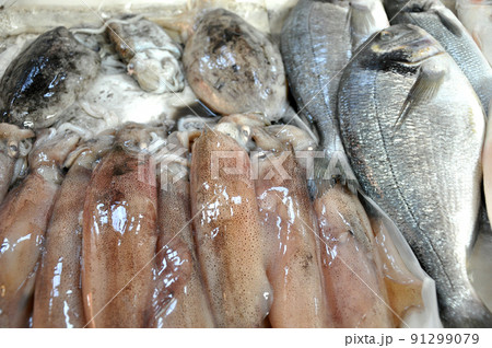 Fresh fish and squid Fresh fish and squid 91299079