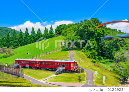 鞍ケ池公園、緑あふれる風景〈愛知県豊田市〉 91299224