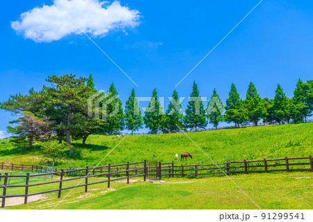 鞍ケ池公園、緑あふれる風景〈愛知県豊田市〉 91299541