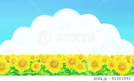 夏　ひまわり畑　雲フレーム　水彩タッチ 91301045