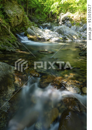 初夏の渓流 91303027