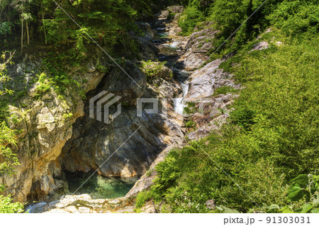 群馬県南牧川の蝉の渓谷 91303031