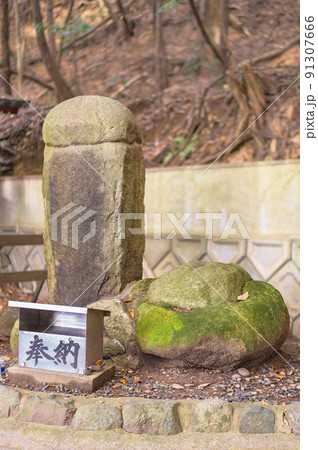 [九州・福津] 宮地嶽神社での濡髪大明神で立ってる子孫繁栄と夫婦円満を願う陰陽石。 91307666