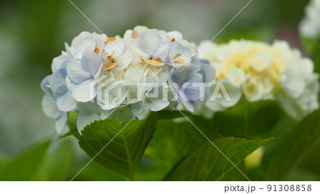 大村藩お船蔵跡（長崎県大村市：玖島城の船蔵） 91308858