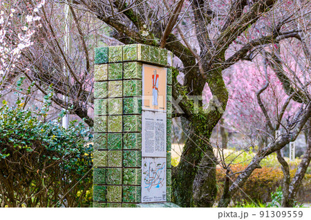 梅林公園「入場門・入口」宮本武蔵が座禅を組んだと伝えられている観光名所：谷尾崎梅林公園 91309559