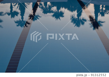 Reflection of palm trees in the pool at sunset. 91312552