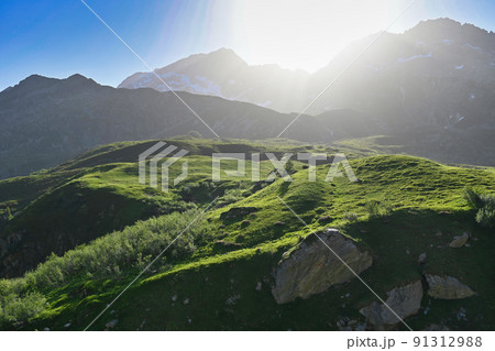 アルプス 91312988