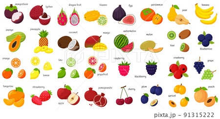 A large set of tropical, exotic, citrus fruits with names. Fruit and berry icons. Whole fruit, half cut and slices. Huge collection.Flat . Color vector illustration. Design elements isolated on white. 91315222
