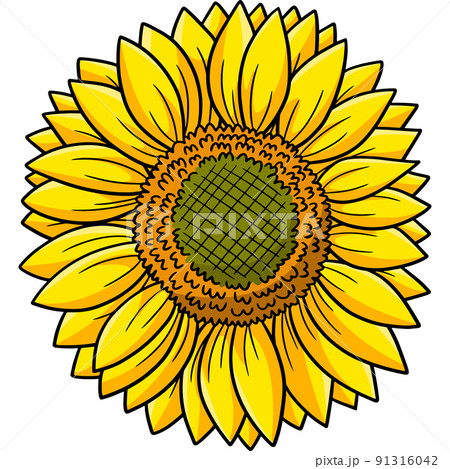 Sunflower Flower Cartoon Colored Clipart  91316042
