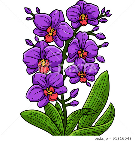 Orchid Flower Cartoon Colored Clipart Illustration Orchid Flower Cartoon Colored Clipart Illustration 91316043