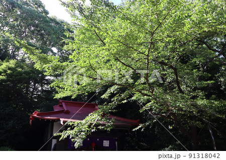 境木地蔵尊 91318042