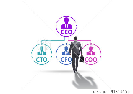 Illustration of organisation chart with various executives Illustration of organisation chart with various executives 91319559