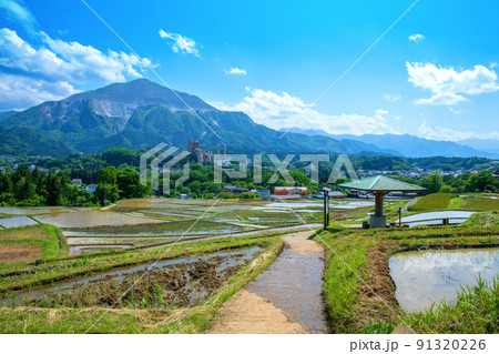 寺坂棚田と武甲山　田植えの季節　新緑の風景　 91320226