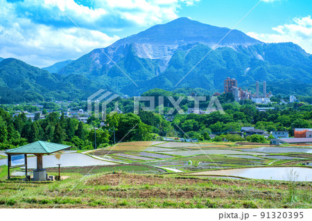 寺坂棚田と武甲山　田植えの季節　新緑の風景　 91320395
