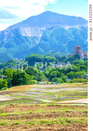 寺坂棚田と武甲山　田植えの季節　新緑の風景　 91320399