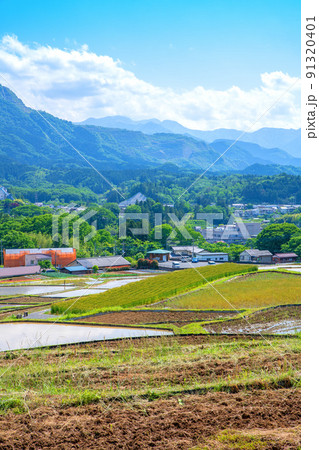 寺坂棚田 田植えの季節 新緑の風景 寺坂棚田 田植えの季節 新緑の風景 91320401