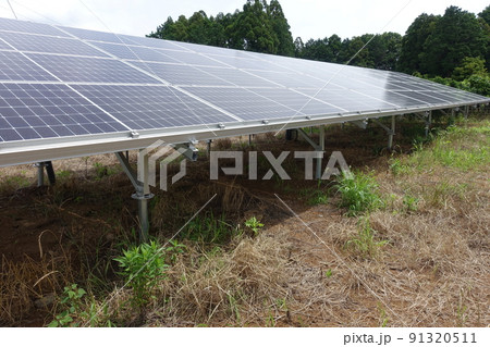 除草剤を散布し雑草が枯れた太陽光発電所 除草剤を散布し雑草が枯れた太陽光発電所 91320511