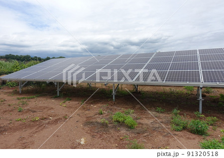 除草剤を散布し雑草が枯れた太陽光発電所 91320518