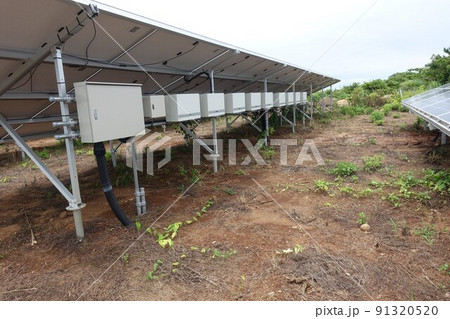 除草剤を散布し雑草が枯れた太陽光発電所 91320520