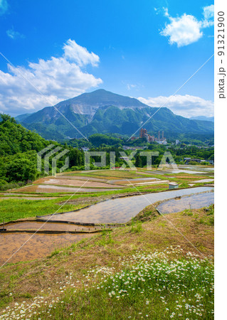 寺坂棚田と武甲山 田植えの季節 新緑の風景 寺坂棚田と武甲山 田植えの季節 新緑の風景 91321900