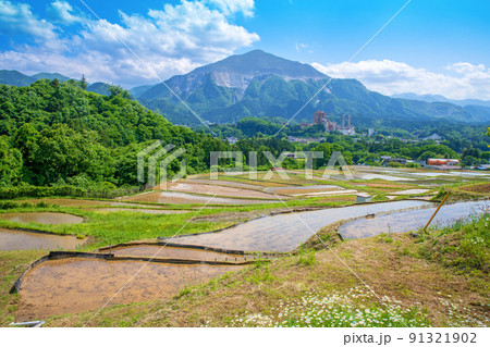 寺坂棚田と武甲山 田植えの季節 新緑の風景 寺坂棚田と武甲山 田植えの季節 新緑の風景 91321902
