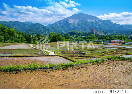 寺坂棚田と武甲山　田植えの季節　新緑の風景　 91322139