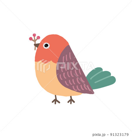 木の実をくわえた落ち着いたトーンのカラフルな鳥の手描きイラスト 木の実をくわえた落ち着いたトーンのカラフルな鳥の手描きイラスト 91323179