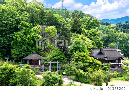 新緑と長楽寺全景 91323202