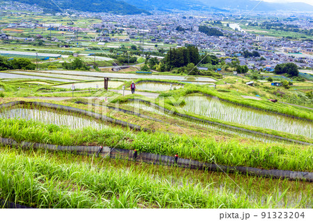 棚田散歩1 91323204
