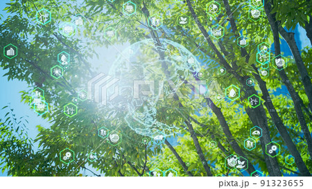 環境イメージ　SDGs 91323655