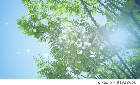 環境イメージ SDGs 環境イメージ SDGs 91323656
