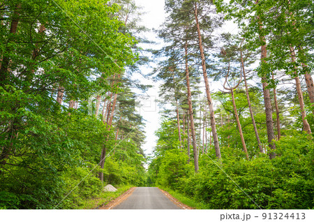 大峰高原へ向かう林道 91324413