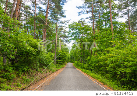 大峰高原へ向かう林道 91324415