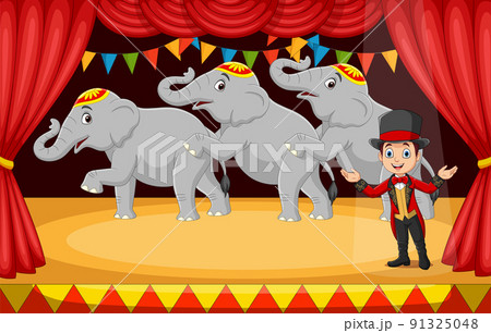 Cartoon circus tamer with elephants on stage Cartoon circus tamer with elephants on stage 91325048