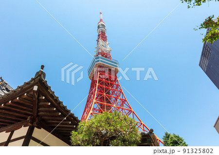 東京タワー 東京タワー 91325802